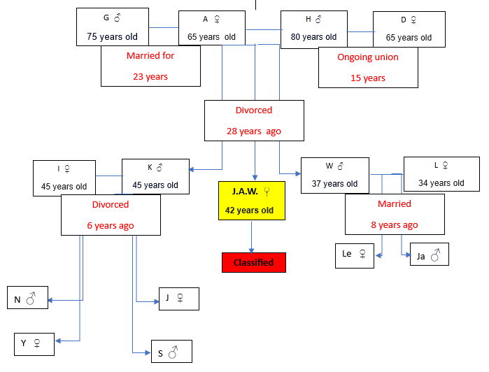case study